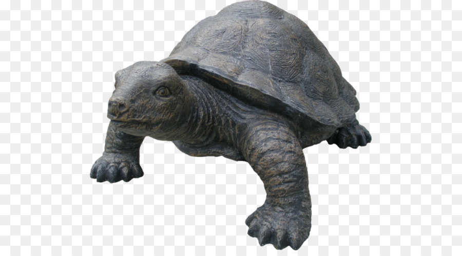 La Escultura，Tortuga PNG