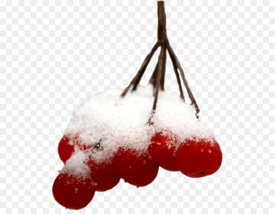 Berry，Mountainash PNG