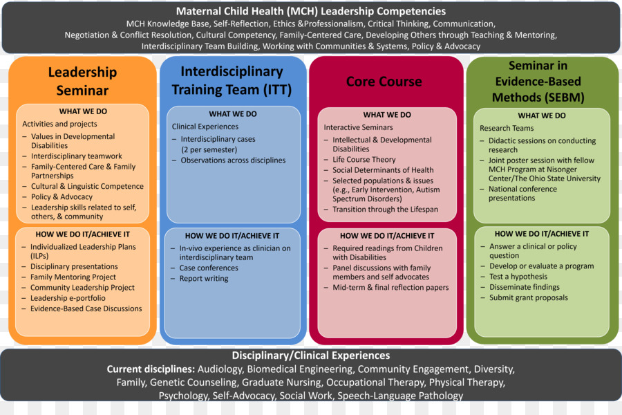 Competencias De Liderazgo En Salud Materno Infantil，Seminario PNG