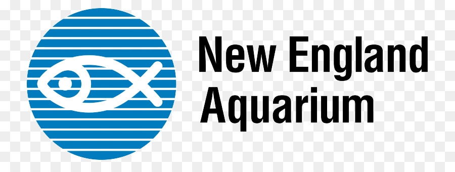 Acuario De Nueva Inglaterra，Pez PNG