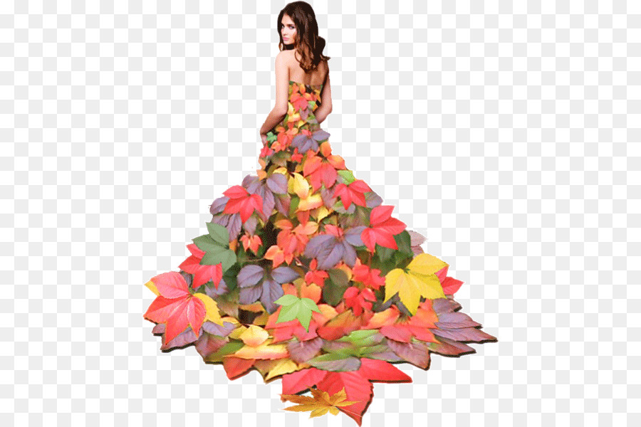 Vestido De Hojas，Hojas De Otoño PNG