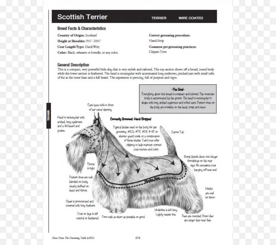 Scottish Terrier，Notas De La Preparación De La Tabla PNG