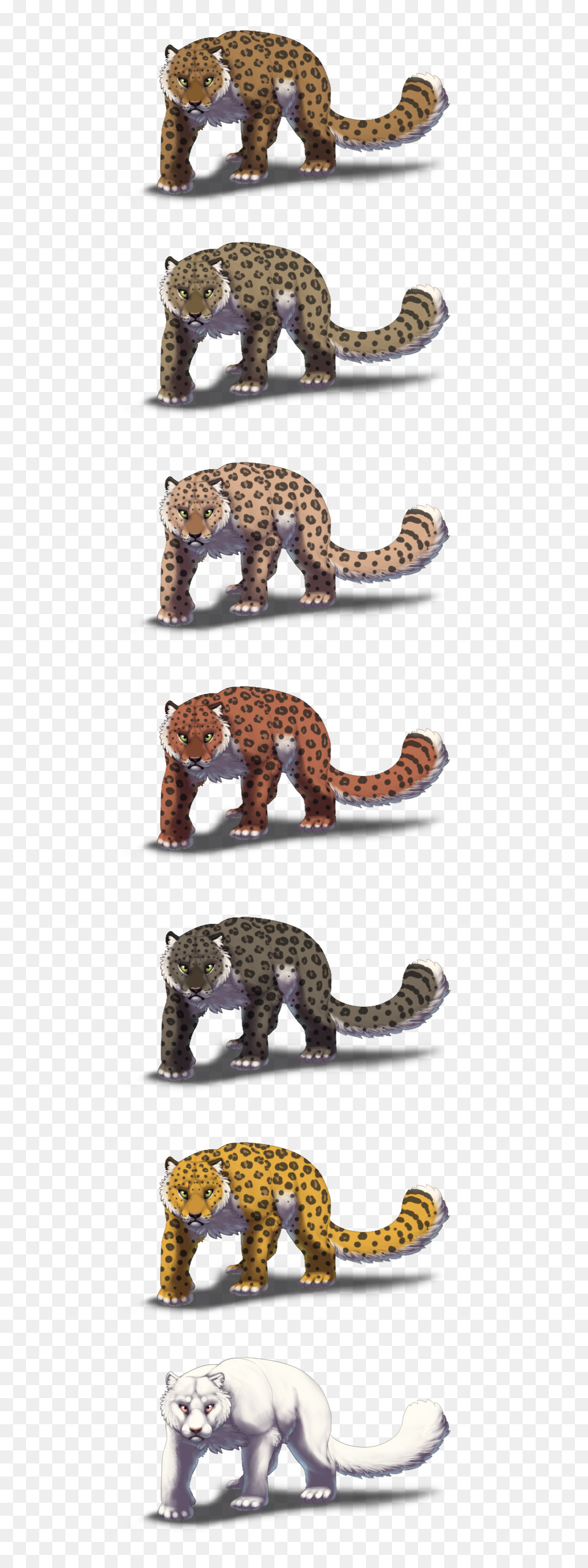 Leopard，Gato PNG