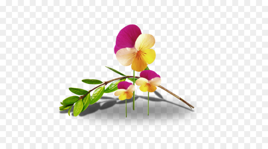 Flor，Animaatio PNG