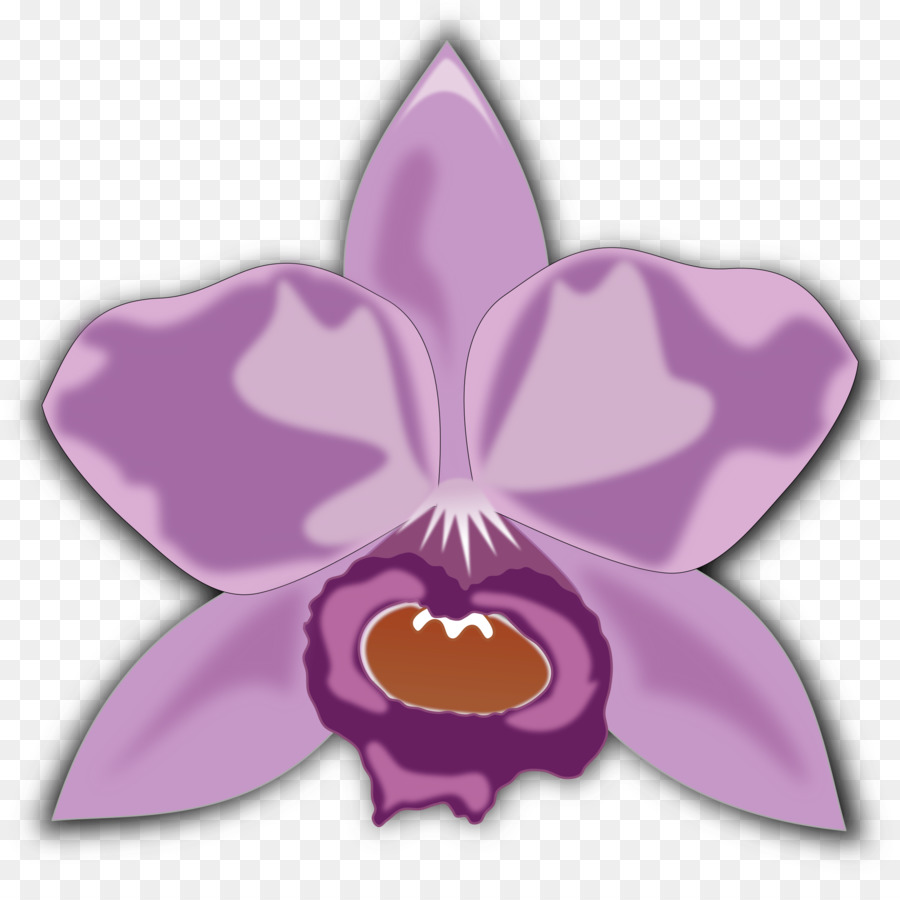 Flor De Orquídea，Púrpura PNG