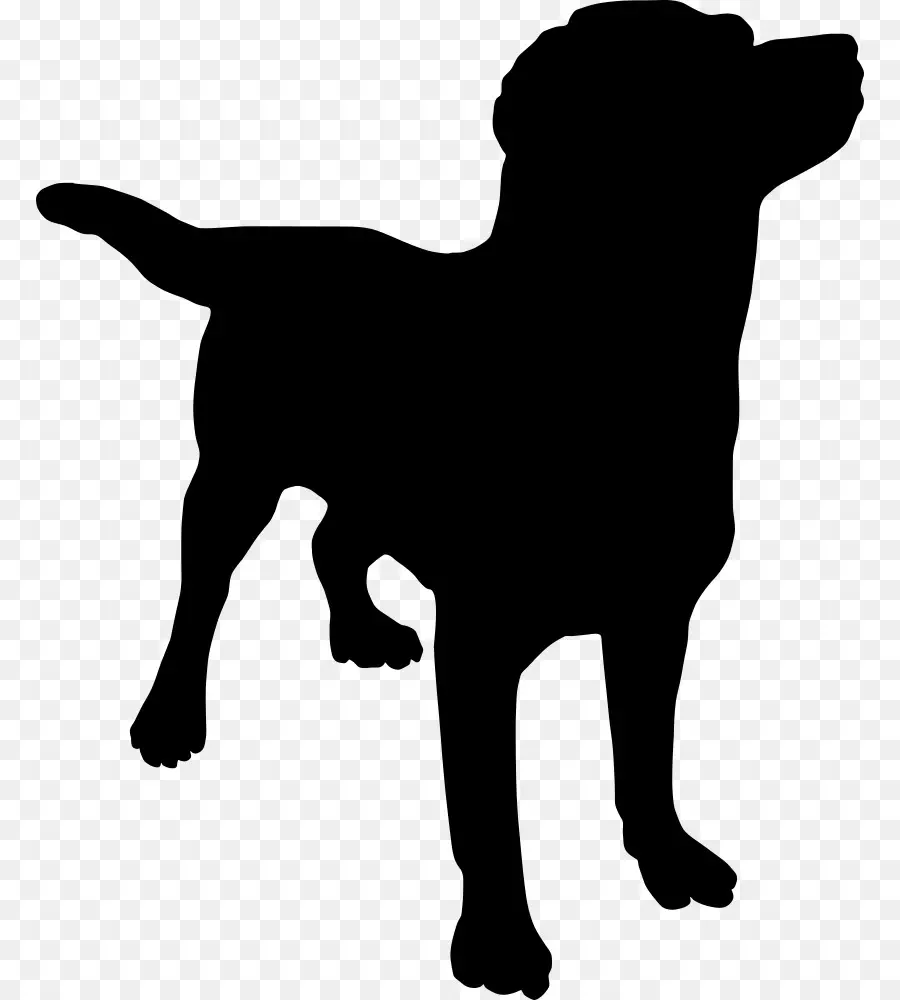 Silueta De Perro，Mascota PNG