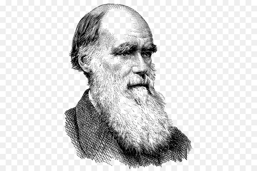 Charles Darwin，En El Origen De Las Especies PNG