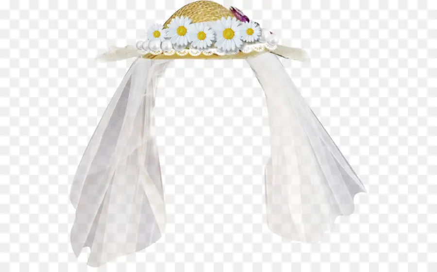 Trenza，Sombrero PNG