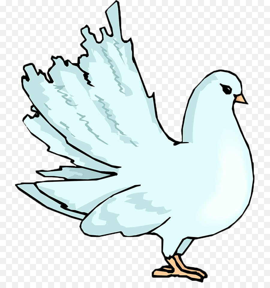 Columbidae，Dibujo PNG