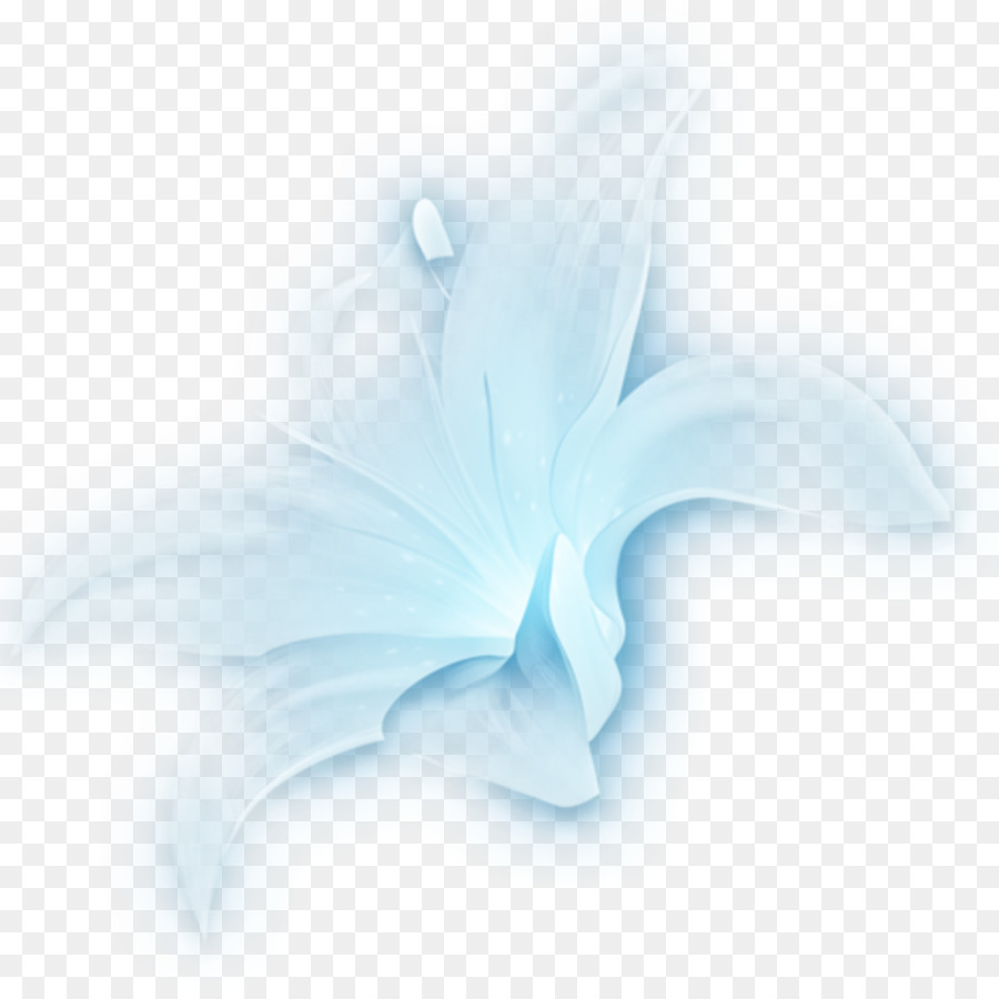 Flores，Florecer PNG