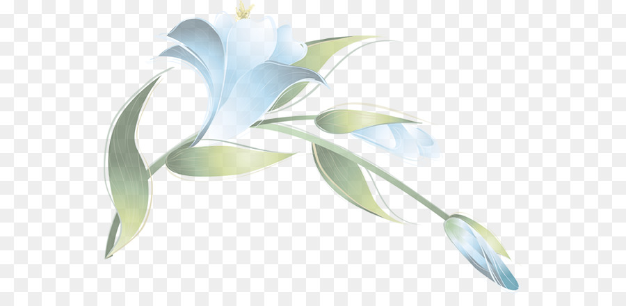 Diseño Floral，Flor PNG