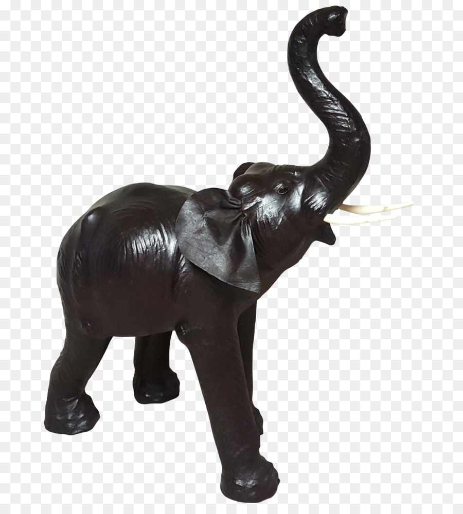 Elefante Indio，El Elefante Africano PNG