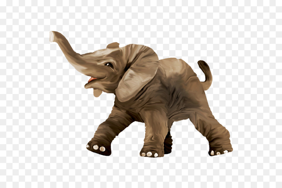 Elefante De Dibujos Animados，Colmillos PNG