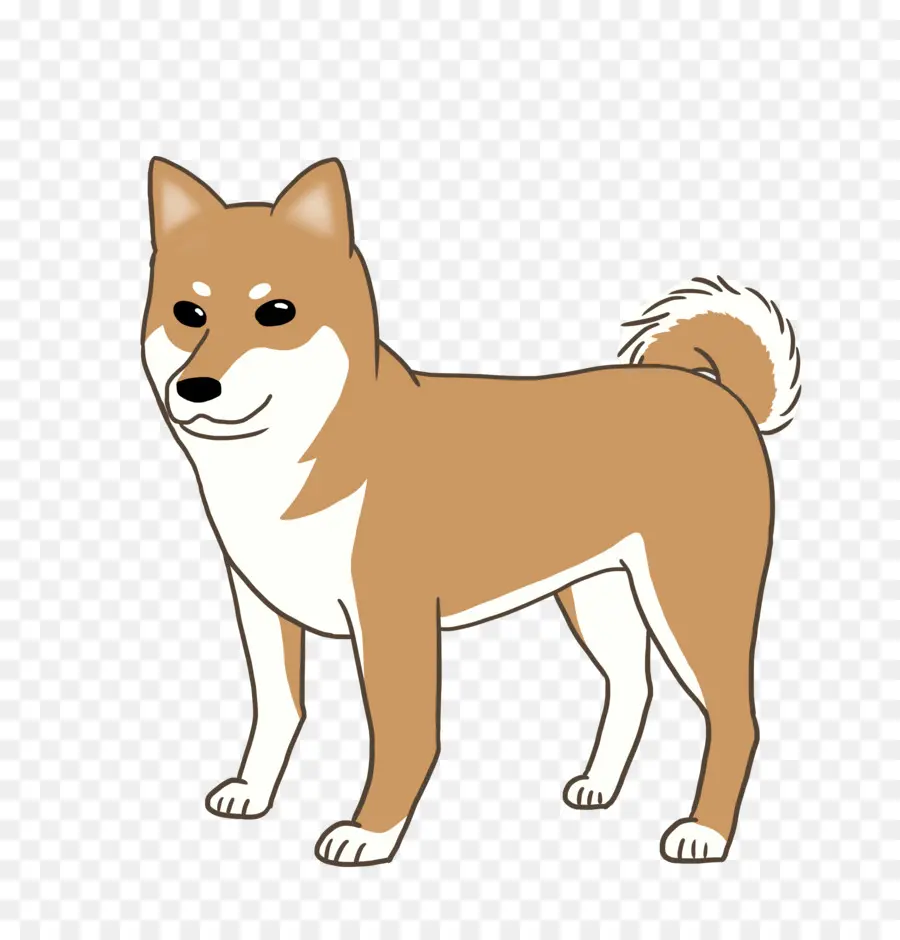 Spitz Finlandés，Shiba Inu PNG