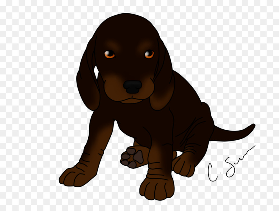 Raza De Perro，Negro Y Tan Coonhound PNG