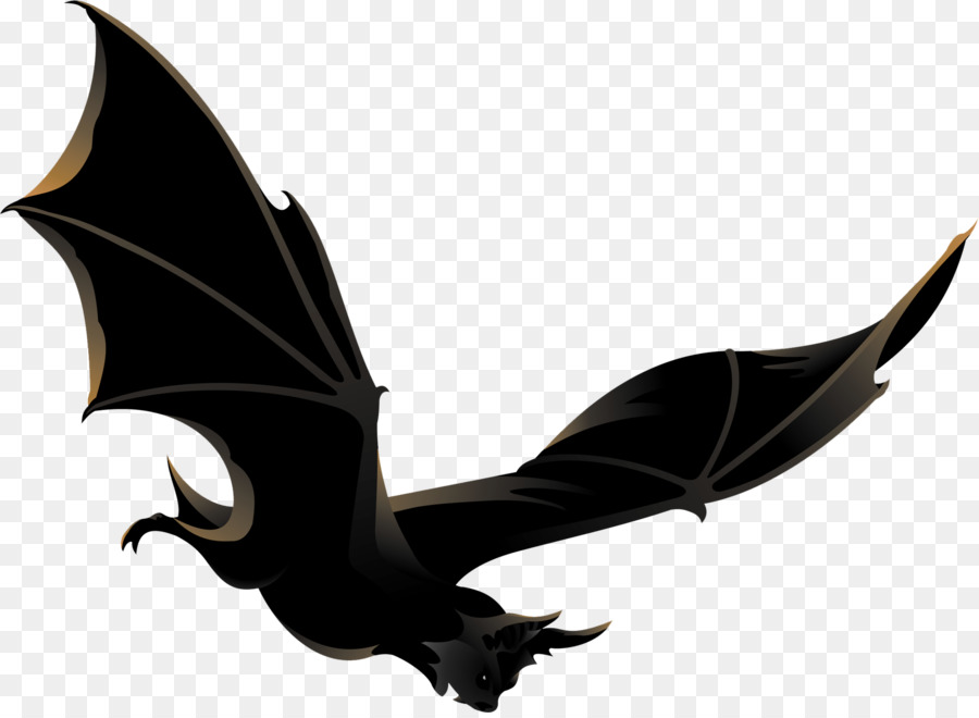 Bat，Halloween PNG