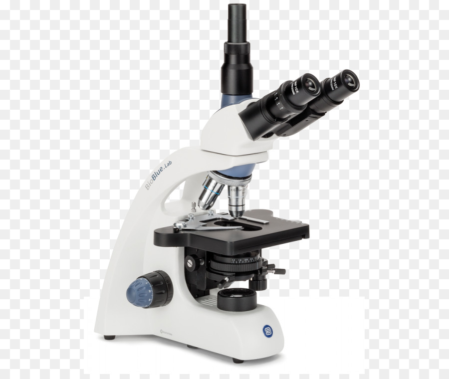 Microscopio，Ciencia PNG