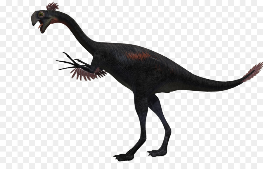 Gigantoraptor，Velociraptor PNG