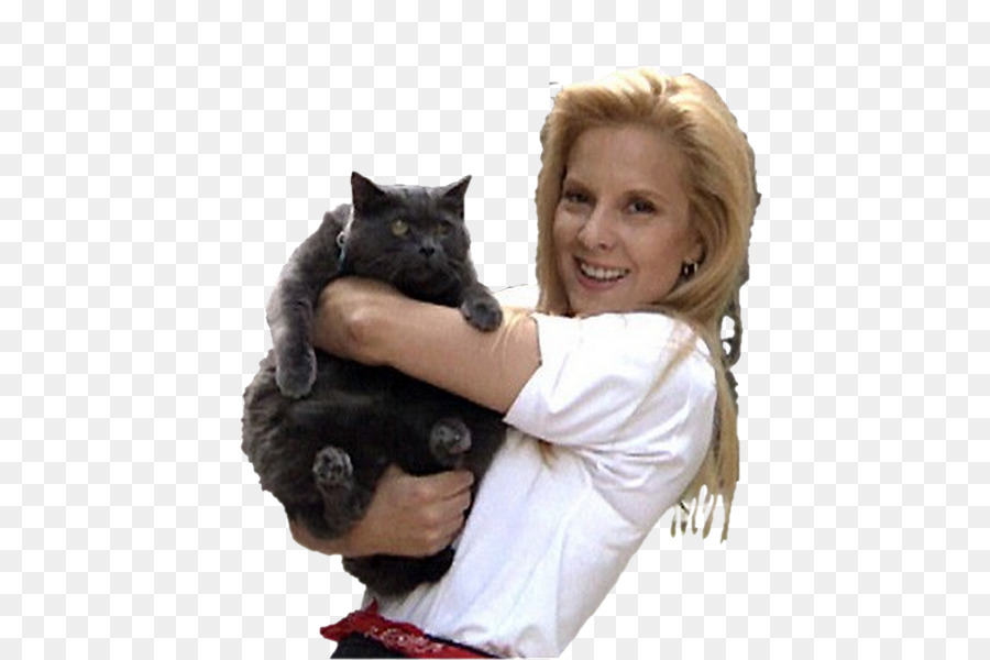 Sylvie Vartan，Gato PNG