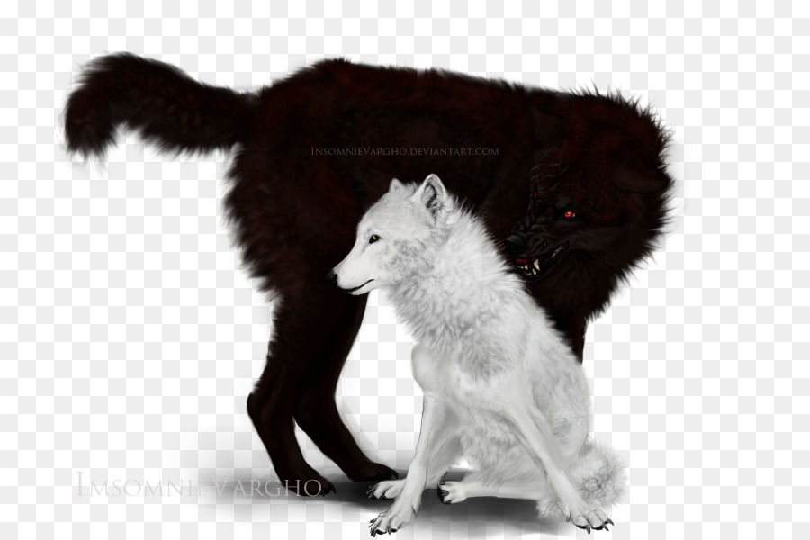 Lobo Gris，Piel PNG