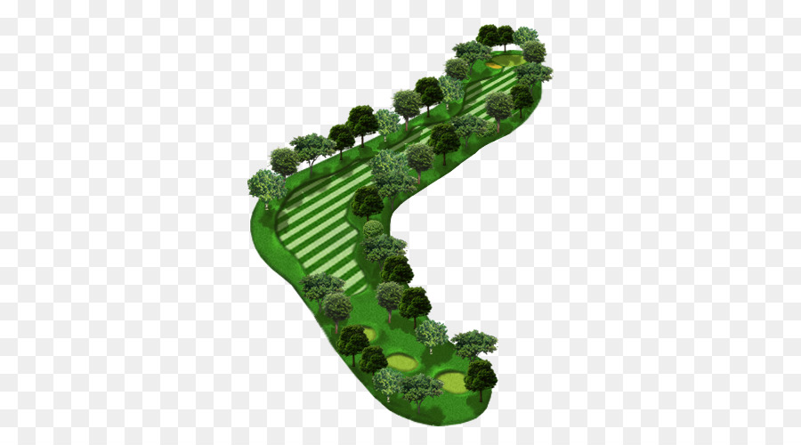 Planta，Zapato PNG