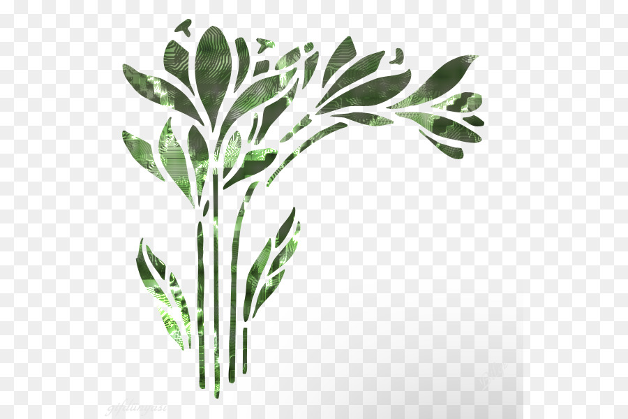 Plantilla，Papel PNG