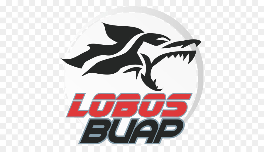 Lobos Buap，Liga Mx PNG