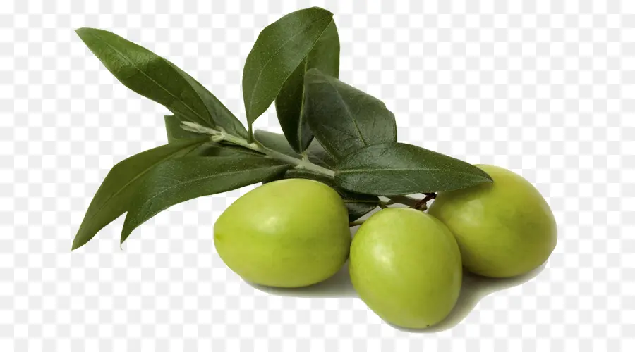 Aceitunas Verdes，Rama PNG