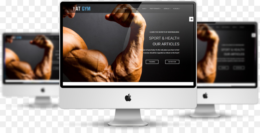 El Diseño Web Responsivo，Musculación Práctica PNG