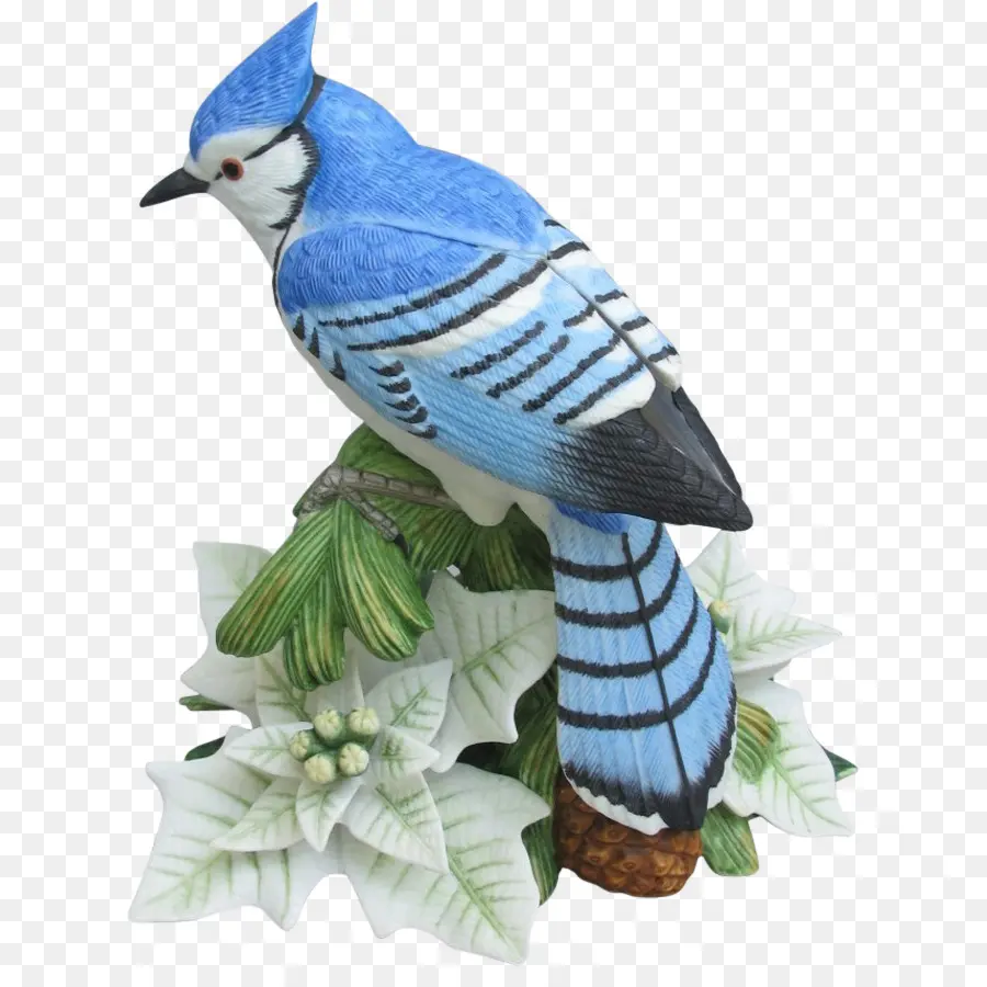 Arrendajo Azul，Plumas PNG