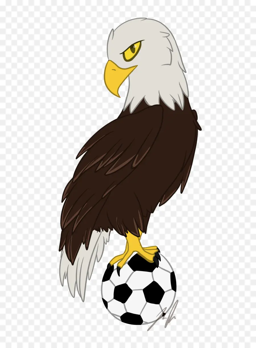 Águila，Balón De Fútbol PNG