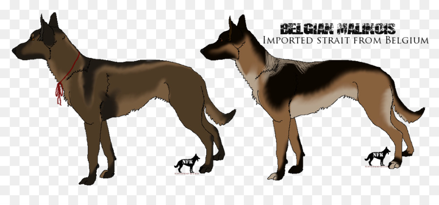 Raza De Perro，Malinois Perro PNG