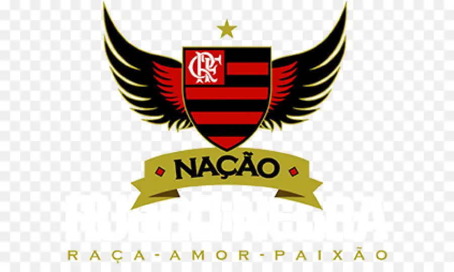 Flamengo Regatas Club，Fluminense Fc PNG