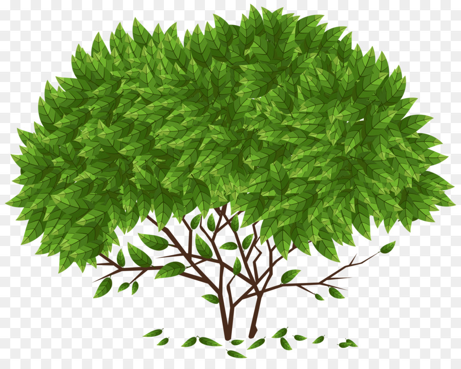 árbol，Dios PNG