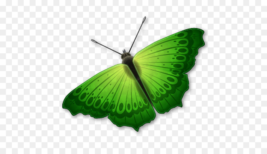 Mariposa Verde，Alas PNG