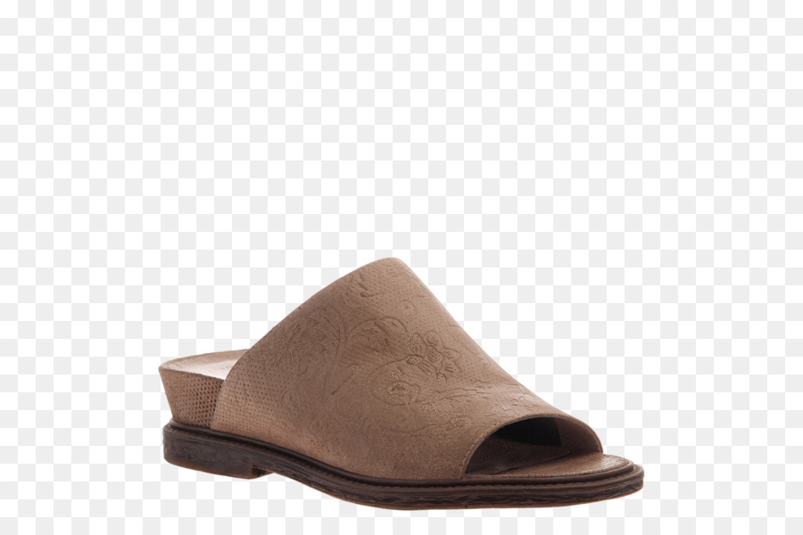 Zapatilla，Zapato PNG