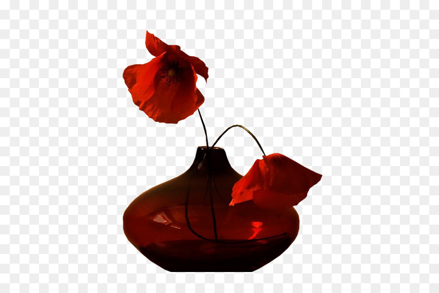 Todavía Vida La Fotografía，Florero PNG