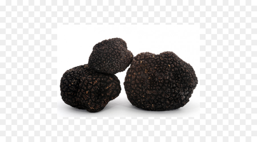 Périgord Negro De Trufa，Tuber Aestivum PNG