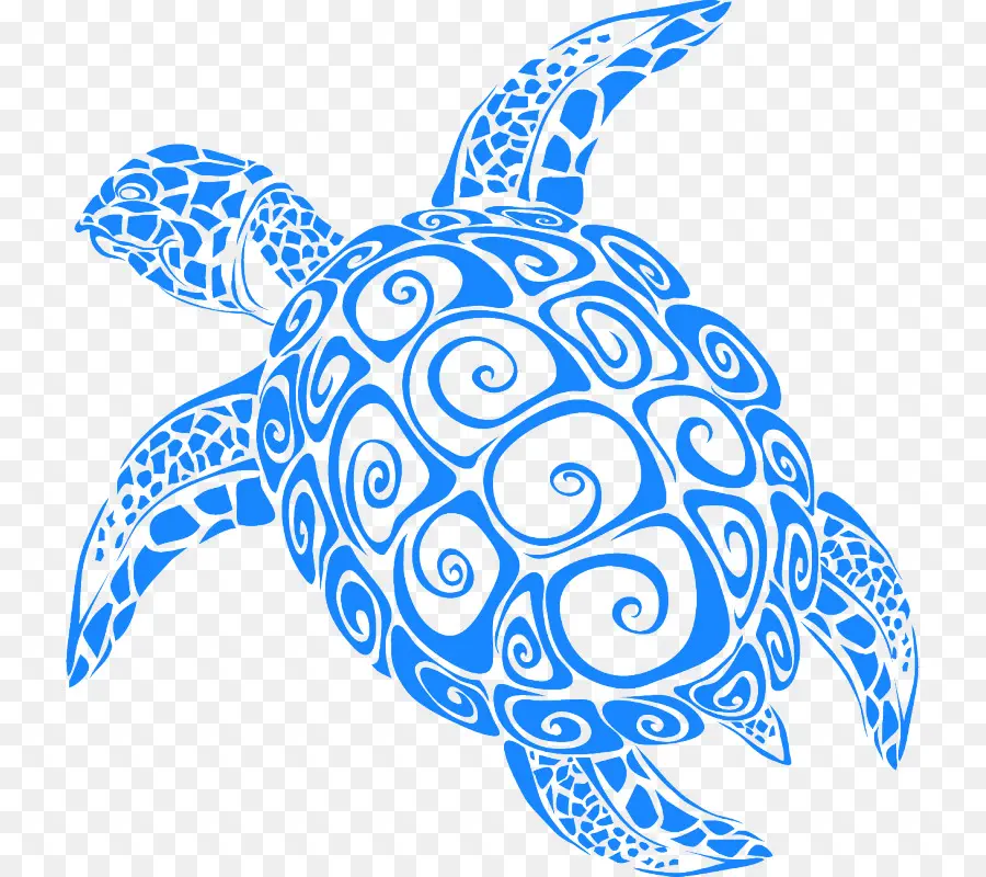 Paper，Turtle PNG