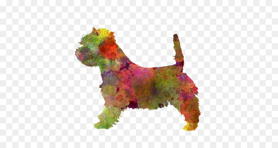 El Cairn Terrier，West Highland White Terrier PNG