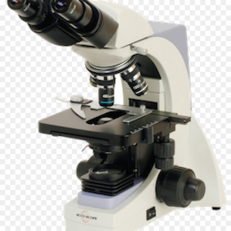Microscopio Optico，Microscopio PNG