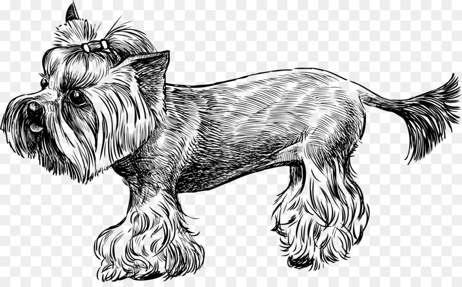 Terrier De Yorkshire，Cairn Terrier PNG