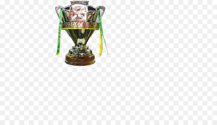 La Copa De Brasil，Copa Libertadores PNG