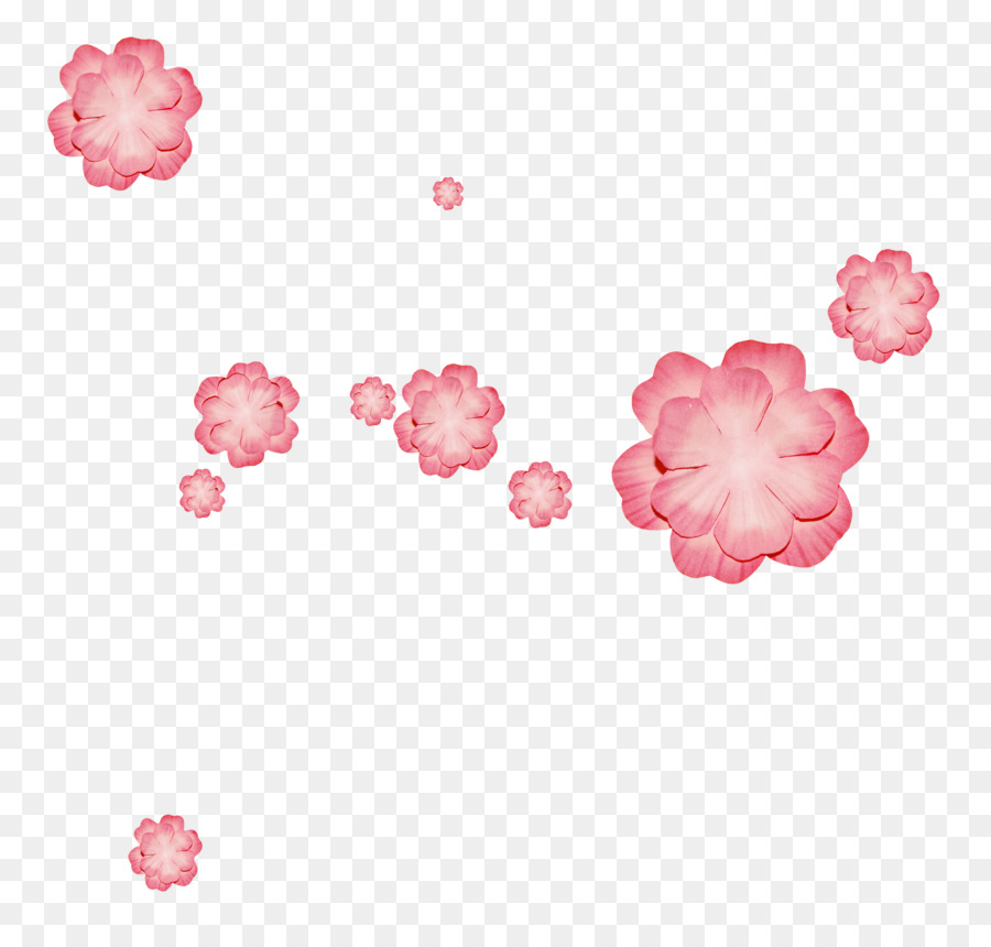 Flores，Florecer PNG