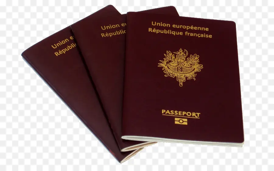 Pasaporte，Aerosol PNG