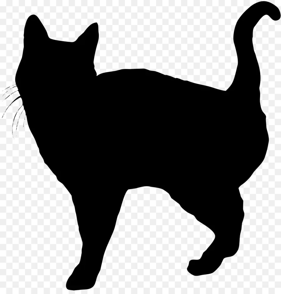 Manx Cat，Bigotes PNG