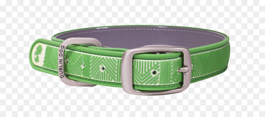 Perro，Collar De Perro PNG