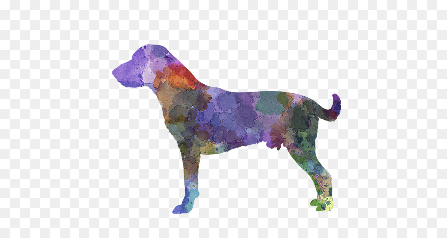 Perro Colorido，Silueta PNG