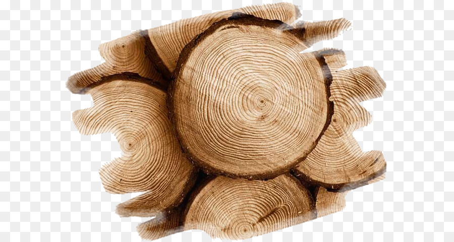 La Madera，Teca PNG