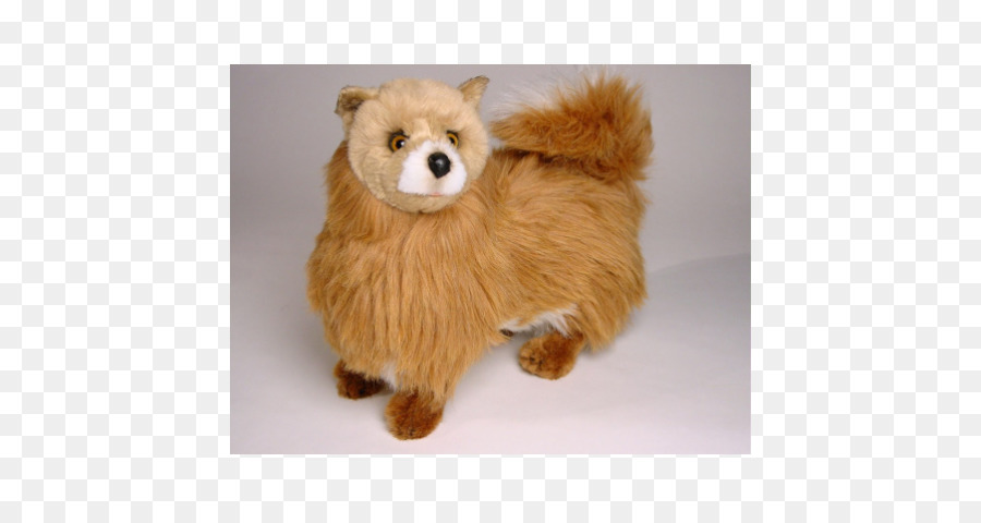 Pomerania，Animales De Peluche Juguetes De Peluche PNG